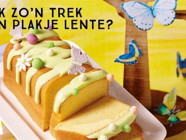 Cake lemon